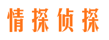 安国市私家侦探